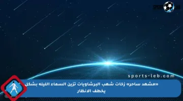 «مشهد ساحر» زخات شهب البرشاويات تزين السماء الليلة بشكل يخطف الأنظار